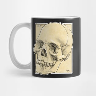 Anatomy textbook skull Mug